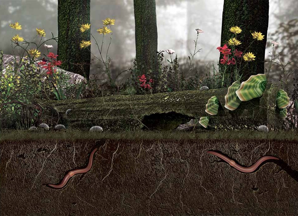 Craig Witte illustration exploring geological layers and natural resource distribution.