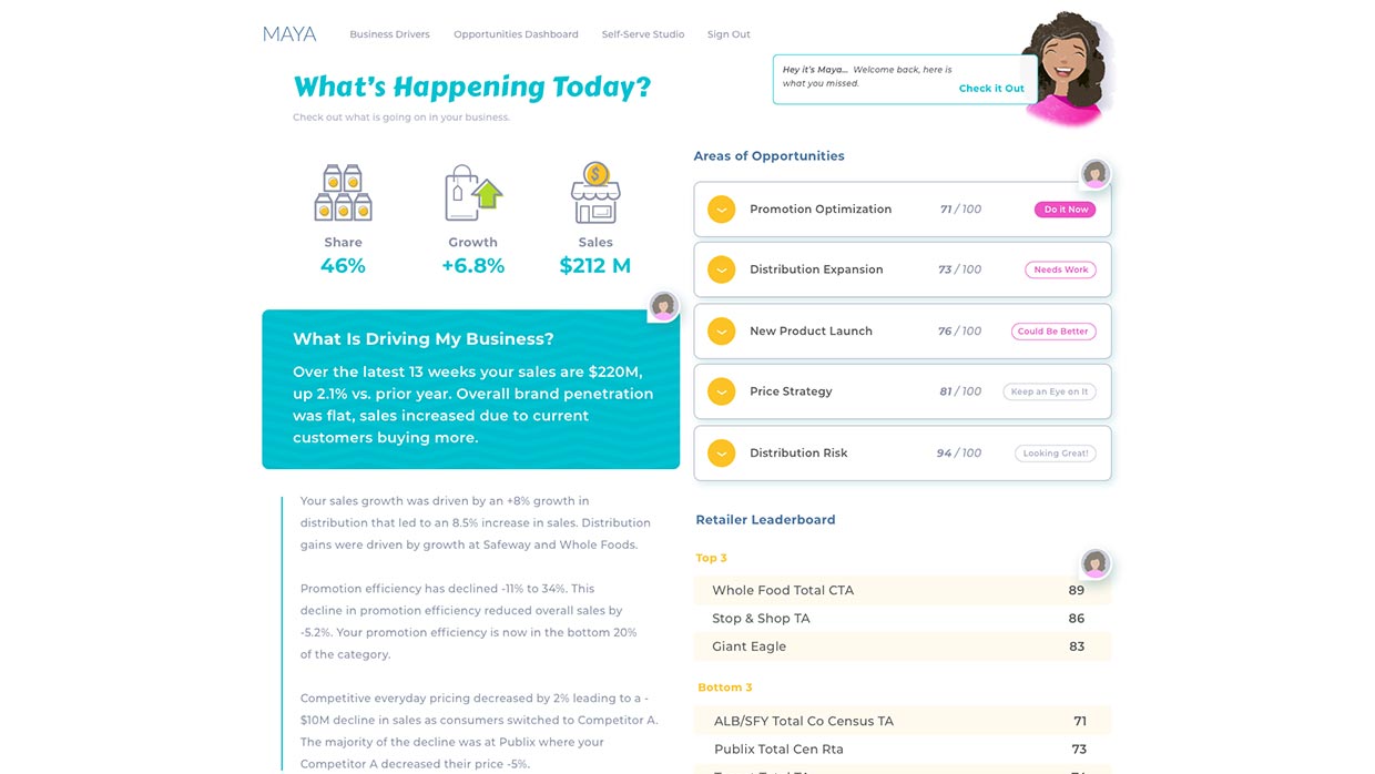 Easy Reporting, web app UX design by Craig Witte, 5 of 10